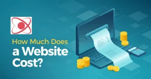 Cost of a Website - TechyK