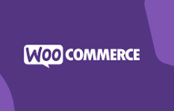 10 Essential WooCommerce Plugins to Enhance Your Online Store