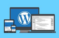 7 Easy Steps to Create a Professional WordPress Website in 2023: The Ultimate Guide